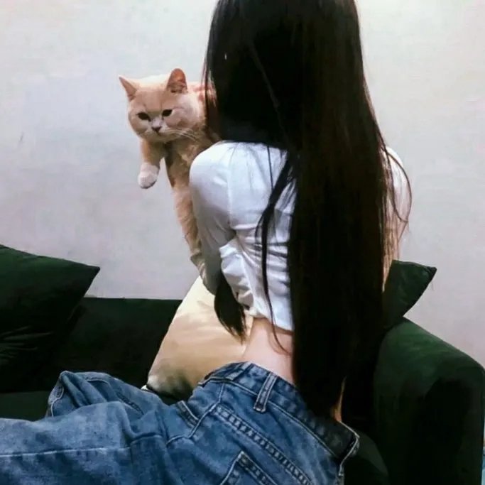 绝对冲突