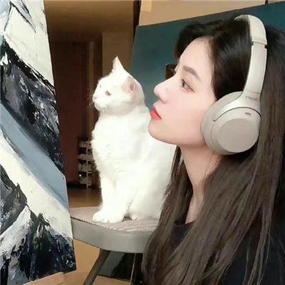 河的研究
